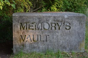 MemoryVault