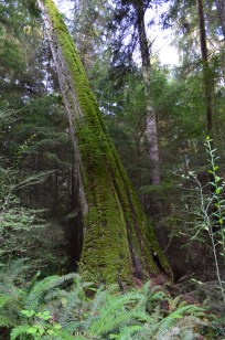 LaConner-101313-0077